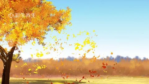 通花根的作用与功效