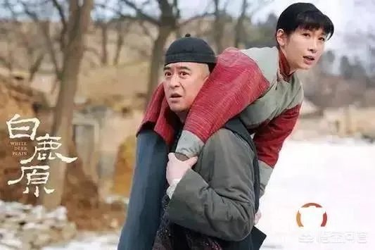 秦海璐演过哪些电影？