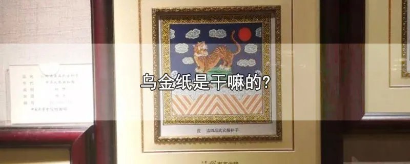 乌金纸是干嘛的?