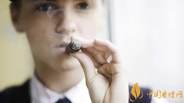 新手入门雪茄烟怎么抽 初学雪茄烟怎么抽8大黄金法则