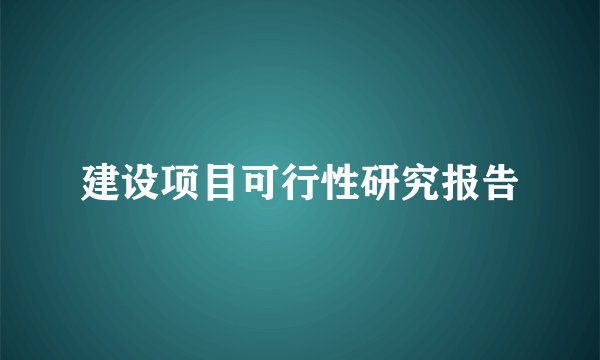 建设项目可行性研究报告