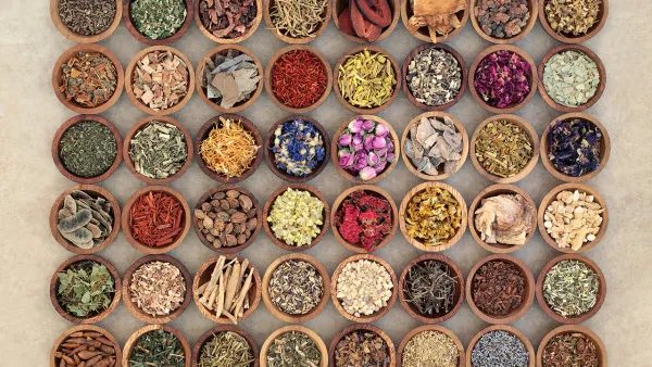 中药川芎的功效与作用