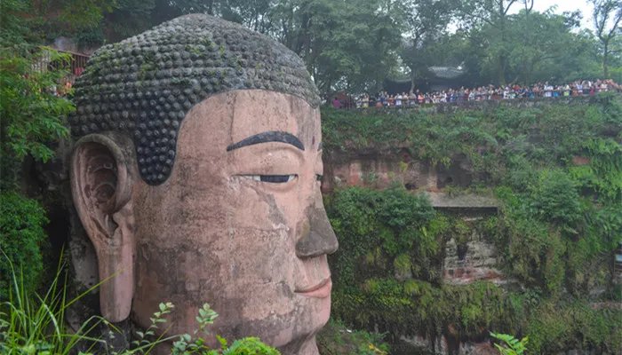 乐山大佛高多少米 乐山大佛在哪里