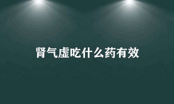 肾气虚吃什么药有效
