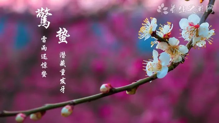 植雅牙膏多少钱一支