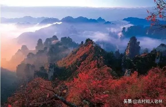 到哪里旅游最好玩?