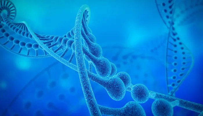 世界上最小的生物是什么 世界上最小的生物有多大