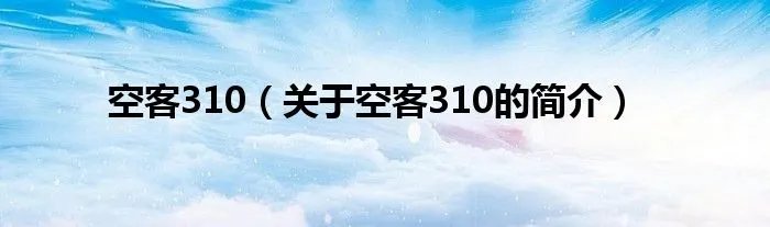 空客310（关于空客310的简介）