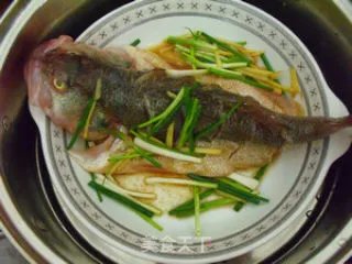 清蒸鲈鱼