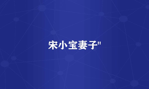 宋小宝妻子