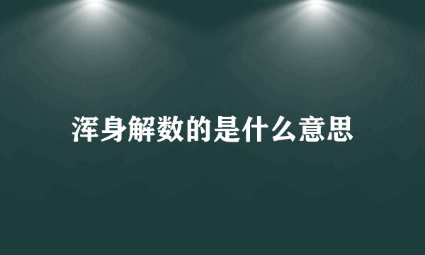 浑身解数的是什么意思