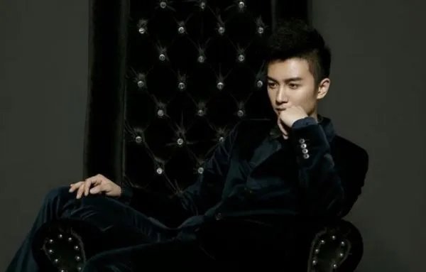 陈晓主演的电视剧