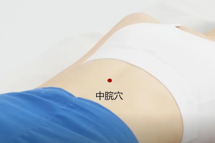 三伏贴最佳穴位图