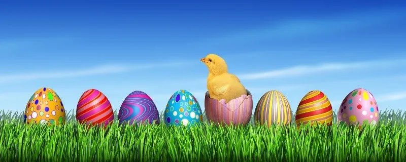 鸡年是哪年 属鸡的年份