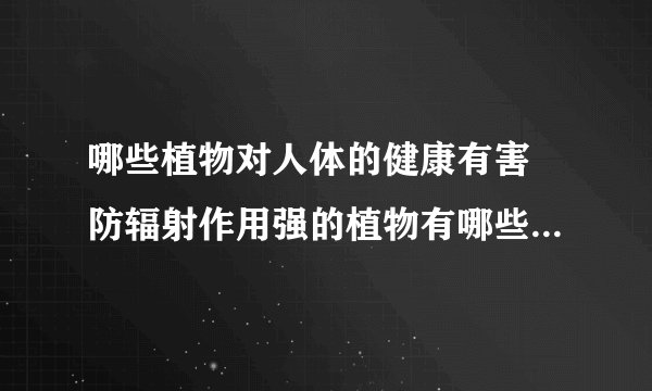 哪些植物对人体的健康有害 防辐射作用强的植物有哪些_防辐射效果最好的5种植物