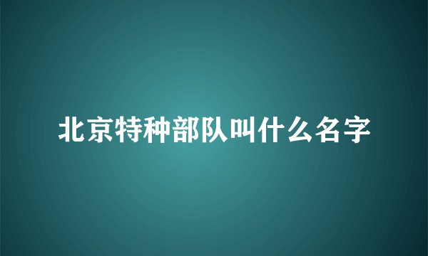 北京特种部队叫什么名字