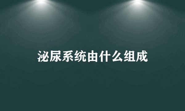 泌尿系统由什么组成