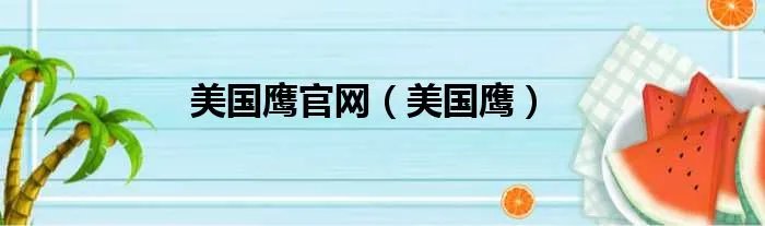 美国鹰官网(美国鹰)