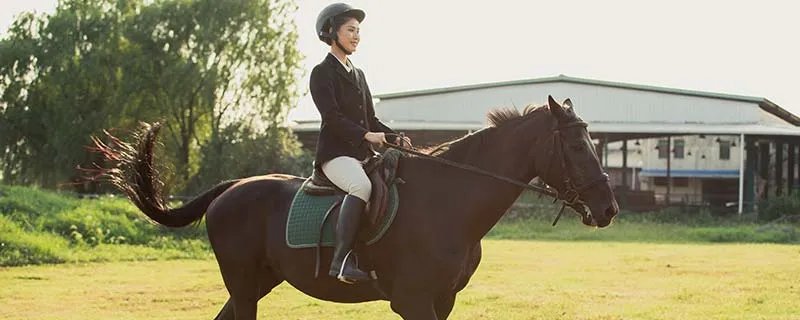 尾巴的用处 尾巴的用处有哪些