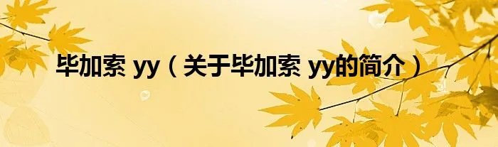 毕加索 yy（关于毕加索 yy的简介）