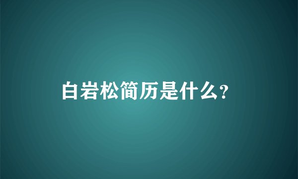 白岩松简历是什么？
