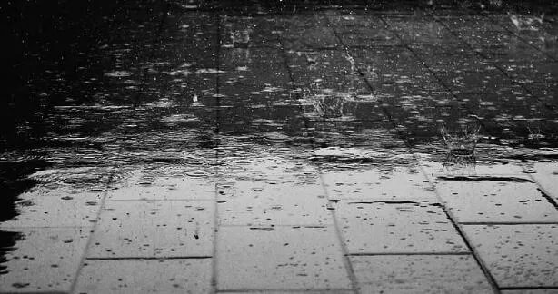 沈阳台风最新消息2020 台风巴威逼近沈阳风雨交加