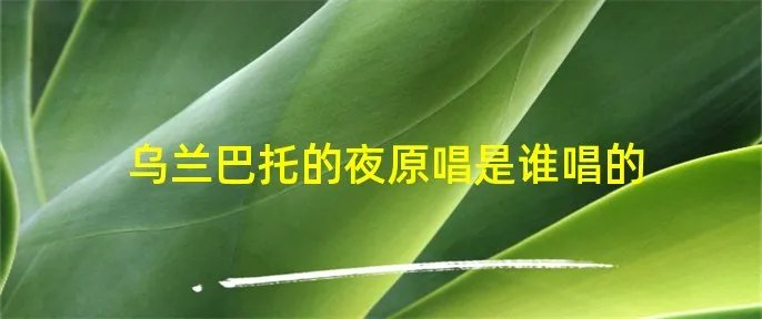 乌兰巴托的夜原唱是谁唱的