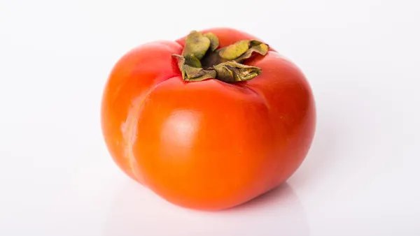 柿子和什么不能一起吃