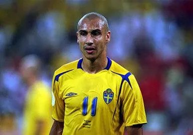 瑞典队有哪些著名球星?