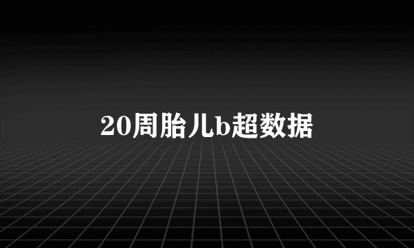 20周胎儿b超数据
