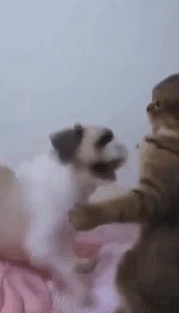 女浴场上演的黄色镜头 停不下来的动态图