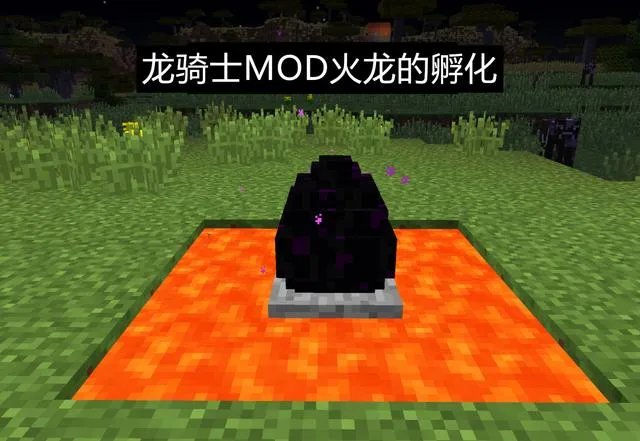 我的世界末影龙蛋怎么孵化2023