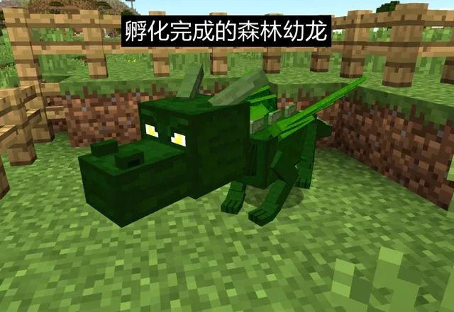 我的世界末影龙蛋怎么孵化2023