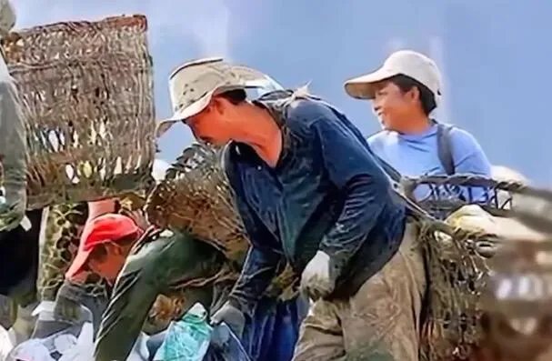 李哨兵事件后来女的怎么样了?嫁给别人后白血病复发去世