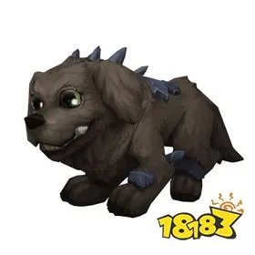 《魔兽世界》10.1宠物大全