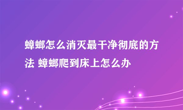 蟑螂怎么消灭最干净彻底的方法 蟑螂爬到床上怎么办