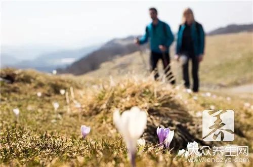 爬山的注意事项