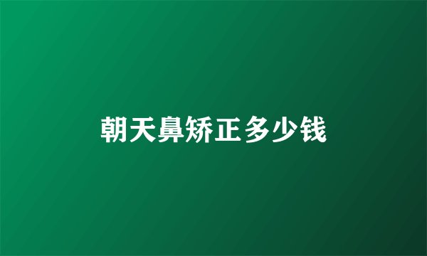 朝天鼻矫正多少钱