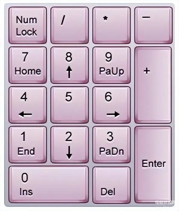 电脑键盘全图详细(电脑键盘各功能示意图)