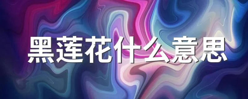 黑莲花什么意思 黑莲花形容什么样的人