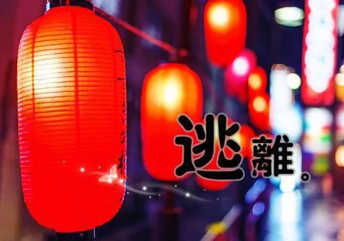 不爱不痛不伤小说 莫邵厉闫晗章节目录阅读