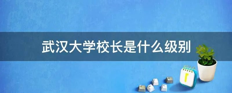 武汉大学校长是什么级别