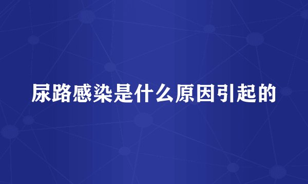 尿路感染是什么原因引起的