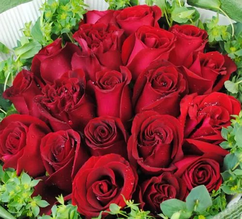 18朵玫瑰代表什么意思 18朵粉玫瑰花语是什么意思