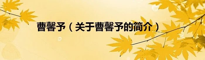 曹馨予（关于曹馨予的简介）