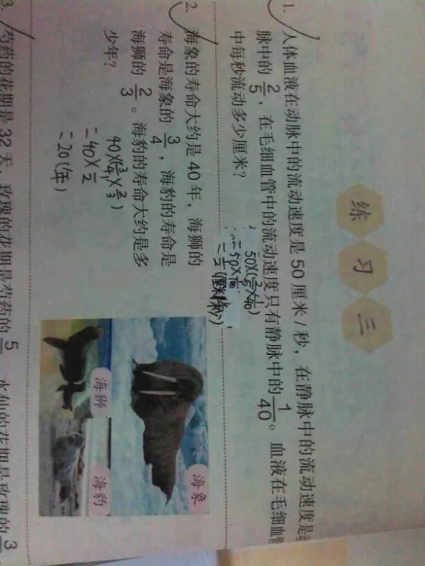 六年级上册数学书答案人教版