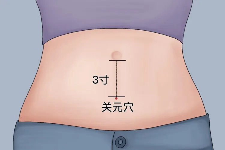 三伏贴最佳穴位图