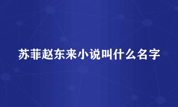 苏菲赵东来小说叫什么名字