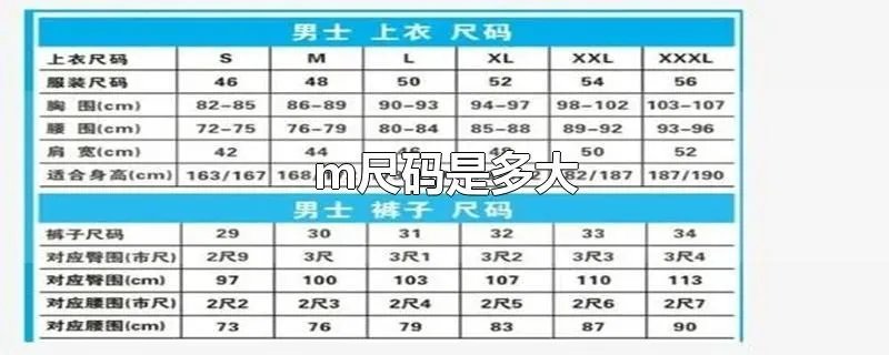 m尺码是多大