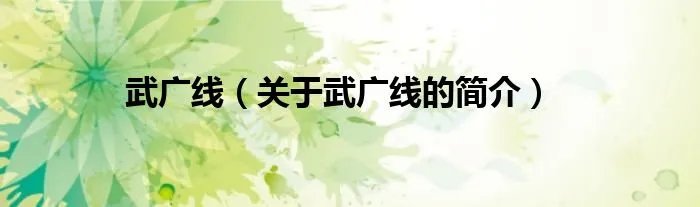 武广线（关于武广线的简介）